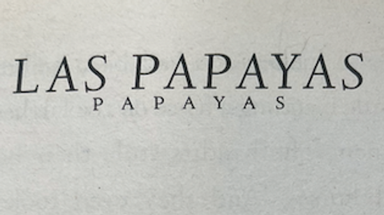 Las Papayas - Chapter 2 - Mexican Revolution -Part 2